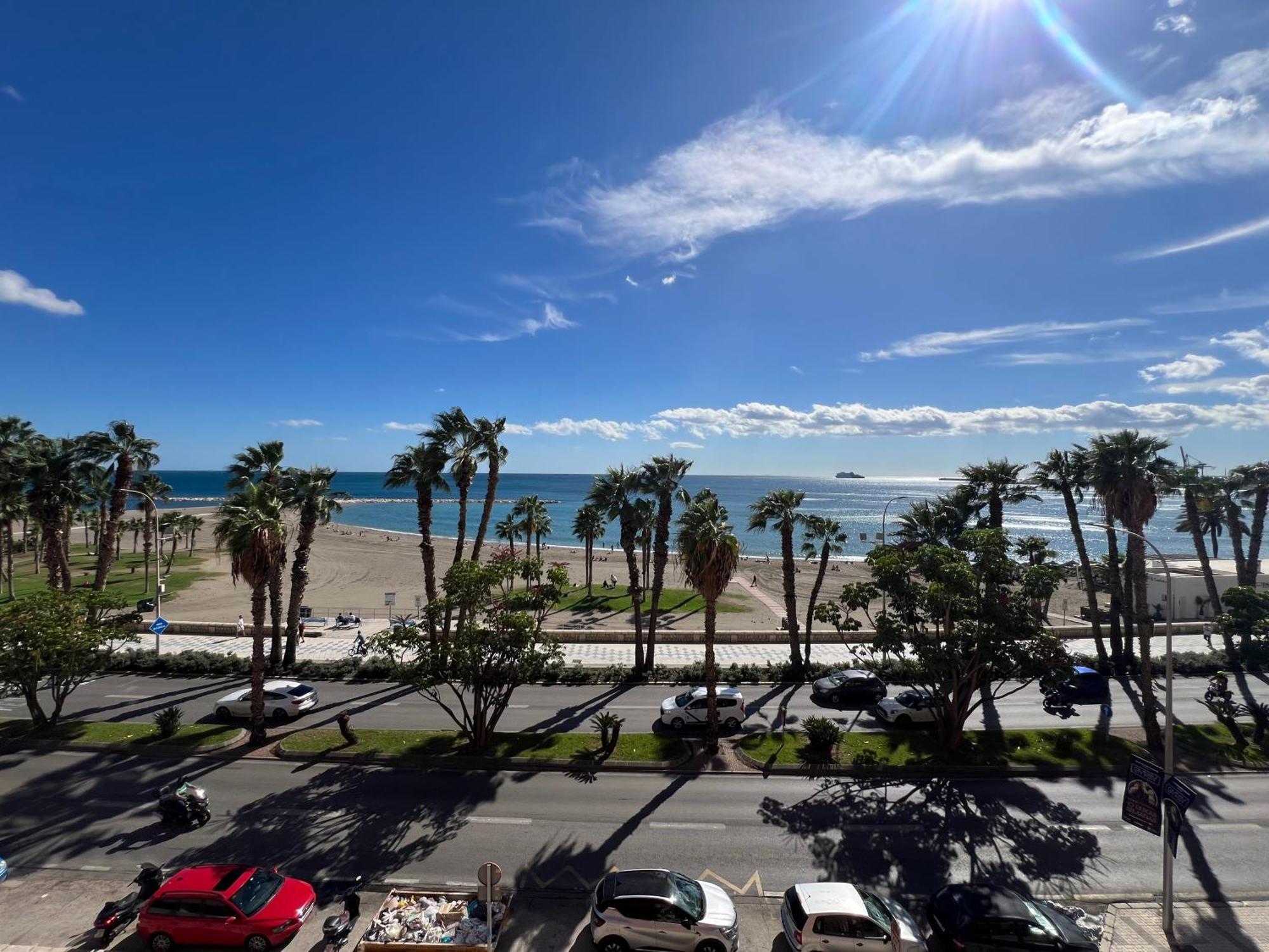 Picasso & Views Malagueta By Ele